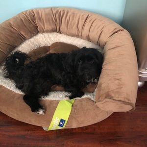 Meet your Posher, Kenny